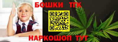 гидра Будённовск